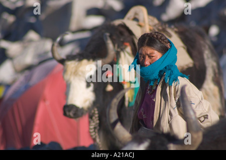 Ein Yak Herder Mädchen in Tibet China Stockfoto