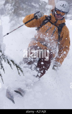 Ein Mann Skifahren Tiefschnee in einem Sturm Almwiesen in Lake Tahoe, Kalifornien Stockfoto