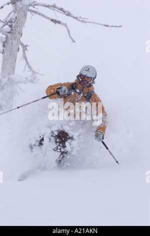 Ein Mann Skifahren Tiefschnee in einem Sturm Almwiesen in Lake Tahoe, Kalifornien Stockfoto