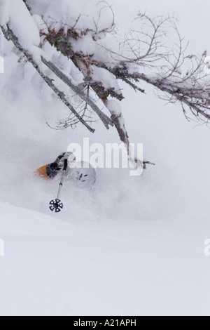 Ein Mann Skifahren Tiefschnee in einem Sturm Almwiesen in Lake Tahoe, Kalifornien Stockfoto