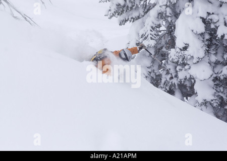 Ein Mann Skifahren Tiefschnee in einem Sturm Almwiesen in Lake Tahoe, Kalifornien Stockfoto