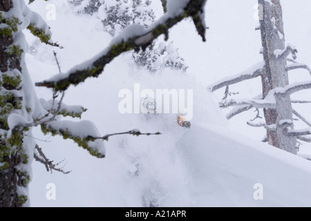 Ein Mann Skifahren Tiefschnee in einem Sturm Almwiesen in Lake Tahoe, Kalifornien Stockfoto