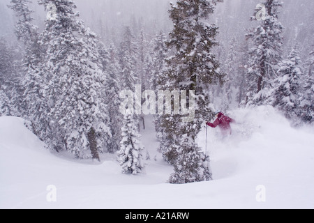 Eine Frau von einer Klippe im Tiefschnee in einem Sturm auf Almen in Lake Tahoe Kalifornien Skifahren Stockfoto