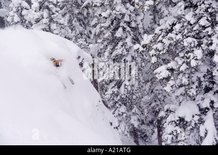 Ein Mann Skifahren Tiefschnee in einem Sturm Almwiesen in Lake Tahoe, Kalifornien Stockfoto