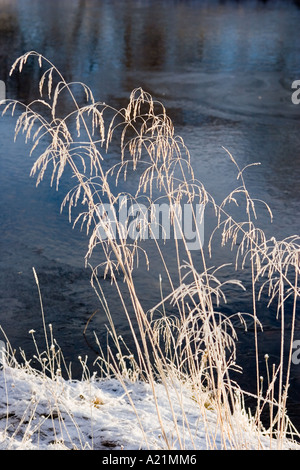 Ein Fluss in den Grampians, steigt das Wasser Clunie in Quellflüssen, die sich aus den N-hängen des Cairnwell, Schottland, Vereinigtes Königreich Stockfoto