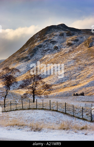 Winter Schnee Szene und Birke Bäume in Glen Clunie, Glenshee Road, Braemar, Aberdeenshire, Schottland, UK. Stockfoto