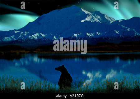 Briwn Bär Mt McKinley Nordlicht Denali NP Alaska Stockfoto