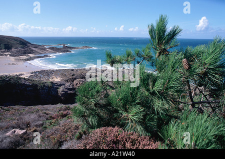 Plage de Portuais am Cap Fréhel in der nördlichen Bretagne, Frankreich Stockfoto