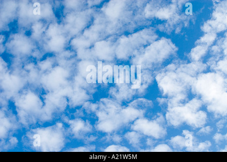 Makrele Wolken Altocumulus Bayern Deutschland Europa Stockfoto