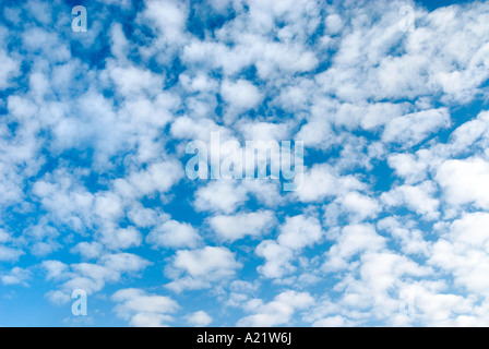 Makrele Wolken Altocumulus Bayern Deutschland Europa Stockfoto