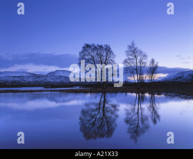 Bäume auf Loch Ba Rannoch Moor Schottland reflektiert Stockfoto