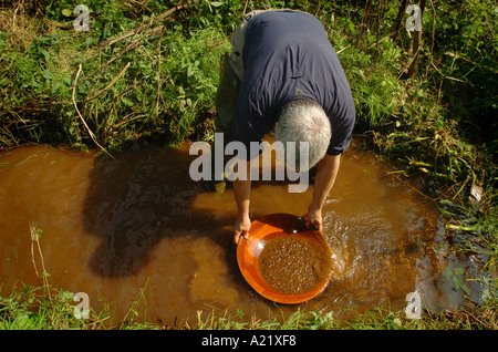 Goldwaschen in einem Bach in der Nähe von Crediton Devon UK Stockfoto