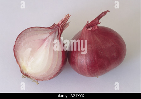 Allium Cepa (Aggregatum Group) "Prisma" F1 Hybride. Samen gewachsen Schalotten eine aufgeschnitten. Stockfoto