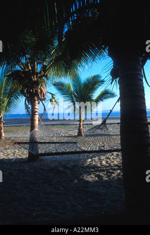 Eine leere Seilhängematte zwischen Palmen sitzt einsam auf Fidschi Strand im frühen Morgenlicht gebunden Stockfoto