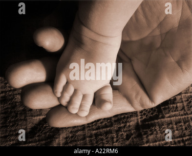 Kleinen Zehen Stockfoto