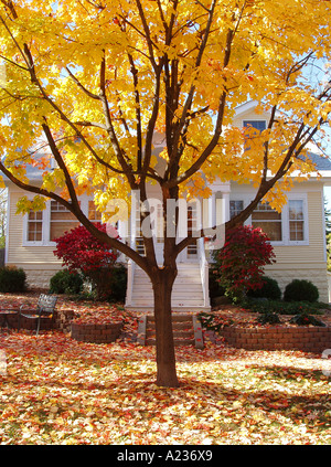 Herbst-Home Stockfoto