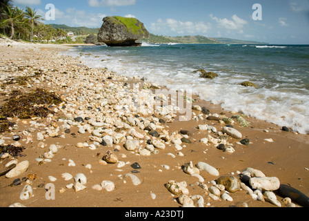 Surf-Breaks auf Stein bedeckt Strand, Bathseba, St. Joseph, Barbados, 8/06 Stockfoto