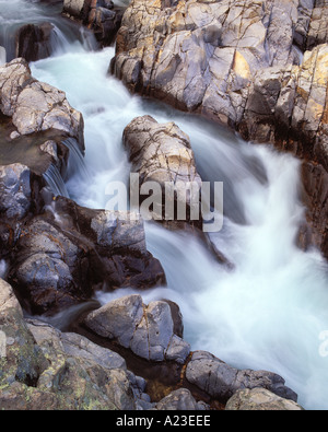 Black River Kaskaden durch die "Shut-ins" bei Johnsons Shut-ins State Park in Missouri Stockfoto