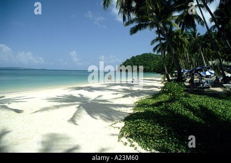 Weißen Sandstrand auf der Insel Phuket, Thailand mit Palmen Bäume eindrucksvollen Schattenwurf auf den weißen Sand. Stockfoto
