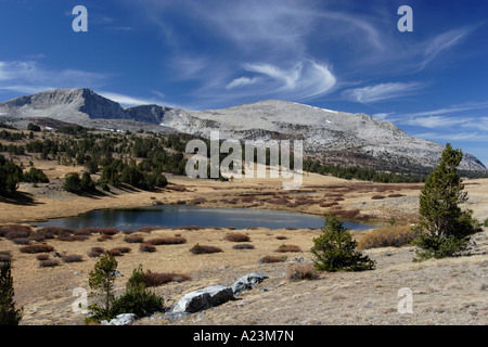 Cirruswolken und Wald, in der Nähe von Tioga Pass im Yosemite National Park. Stockfoto