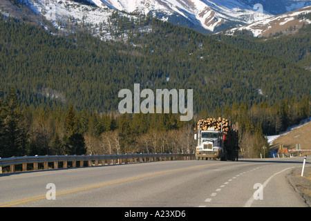 Holzindustrie in den kanadischen Rocky Mountains Stockfoto