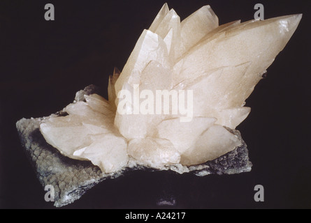 Geschnitzten Gips. Gips ist eines der am häufigsten verwendeten sedimentären Mineralien. Stockfoto