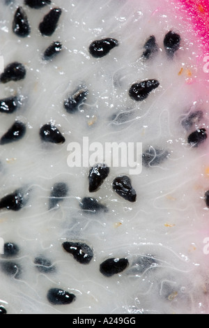 Drachenfrucht Stockfoto