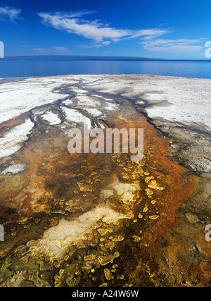 West Thumb Geyser Basin Yellowstone Nationalpark USA Stockfoto