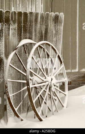 Ersten großen Schnee in Illinois 1. Dezember 2006 Stockfoto