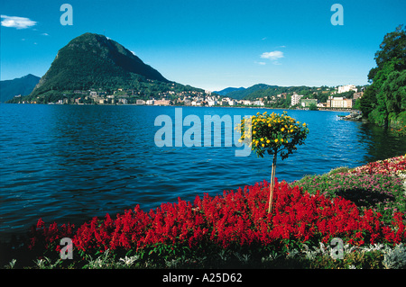 GÄRTEN AN DEN LUGANER SEE SCHWEIZ Stockfoto