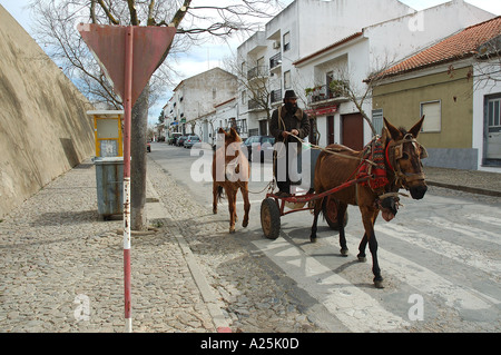 Pferdekutsche Warenkorb Moura Baixo Alentejo Portugal Europa Stockfoto