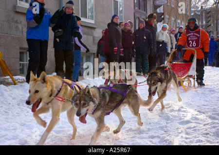 Quebec Stadt, Quebec, Kanada Stockfoto