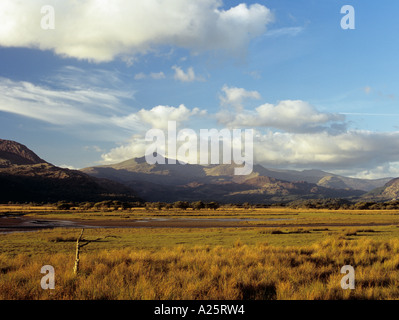 GLASLYN Sümpfe Site of Special Scientific Interest mit Bergen von Snowdonia Porthmadog Gwynedd North Wales Stockfoto