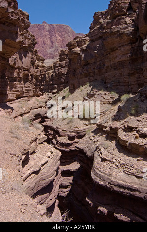 DEER CREEK NARROWS schneidet dramatisch durch eine Schicht aus ARIZONA TAPEATS Sandstein GRAND CANYON Nationalpark Stockfoto