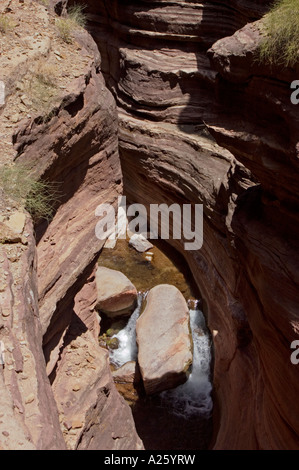 DEER CREEK NARROWS schneidet dramatisch durch eine Schicht aus ARIZONA TAPEATS Sandstein GRAND CANYON Nationalpark Stockfoto