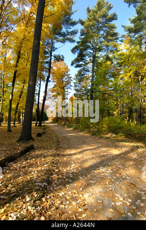 Scenic fall colors near Elkhart Indiana IN Stockfoto