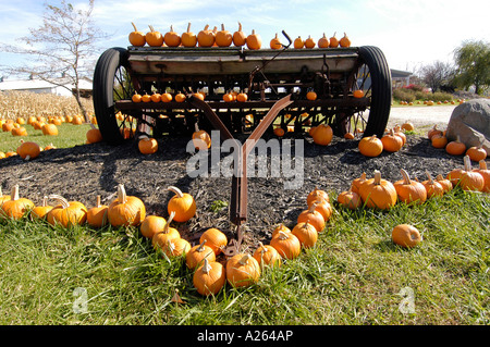 Herbst Herbst Kürbis zeigen vor allem Verwendung für Halloween-Kunst Stockfoto