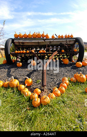 Herbst Herbst Kürbis zeigen vor allem Verwendung für Halloween-Kunst Stockfoto