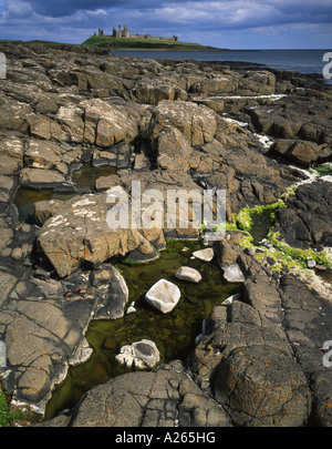 Felsen an der Küste von Northumberland mit Dunstanburgh Castle im Hintergrund mit Gewitterwolken bilden, Northumberland, England, Großbritannien Stockfoto