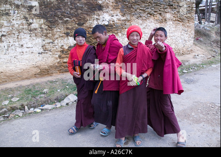 Junge Mönche handeln wie typische Teenager im Gangtey Gompa Kloster in Bhutan Stockfoto