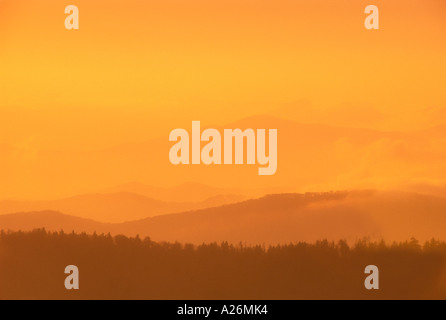 NC-Bergrücken entsteigen Morgennebel nach Sonnenaufgang aus Clingmans Kuppel Great Smoky Mountains National Park, Tennessee Stockfoto