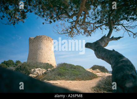 Historischen Wachturm-Cala Pi-Mallorca-Spanien Stockfoto