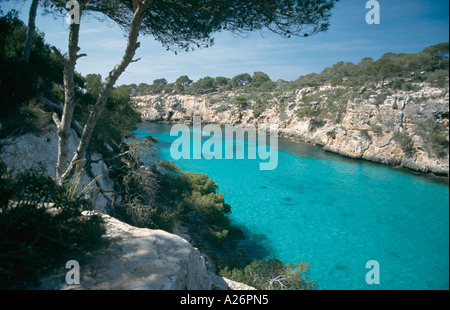 Grünes Wasser und idyllische Bucht von Cala Pi Bucht Mallorca Spanien Stockfoto