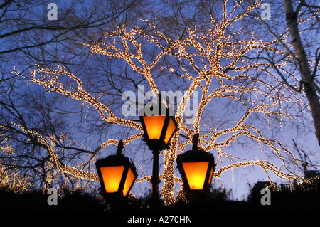 Vierzigtausend 40000 weißen Lichtern schmücken Bäume Central Park in Manhattan, New York zu Weihnachten Stockfoto