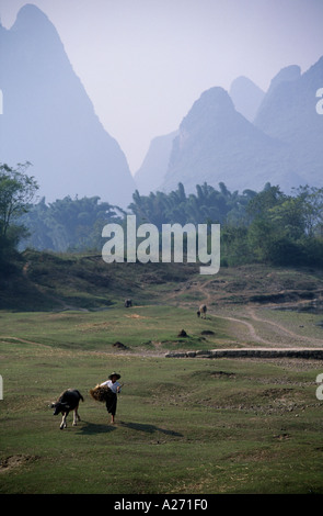 Aus Fu Li Dorf flussabwärts von Yangshou Stockfoto