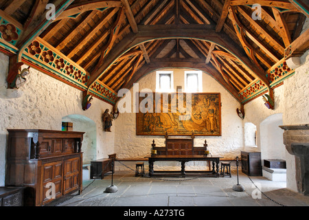 Vikare Choral auf dem Felsen von Cashel, Cashel, Tipperary, Irland Stockfoto