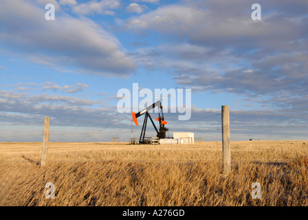 Ölpumpe Zeichnung Öl vom Behälter in southern Alberta Kanada-Öl-patch Stockfoto