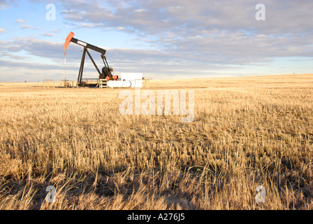 Ölpumpe Zeichnung Öl vom Behälter in southern Alberta Kanada-Öl-patch Stockfoto