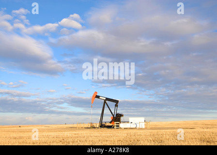 Ölpumpe Zeichnung Öl vom Behälter in southern Alberta Kanada-Öl-patch Stockfoto