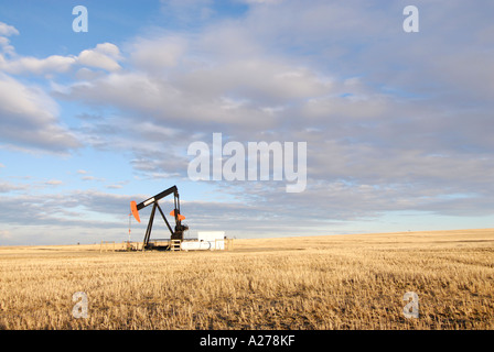 Ölpumpe Zeichnung Öl vom Behälter in southern Alberta Kanada-Öl-patch Stockfoto